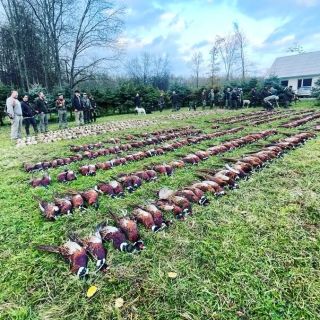 Krásný Svatomartinsky víkend přejeme 😉